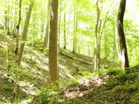 IMG_9647.JPG