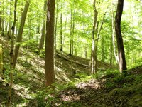 IMG_9648.JPG