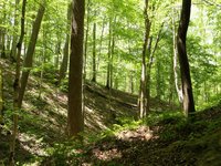 IMG_9649.JPG