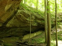 IMG_9650.JPG