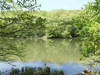 IMG_9652.JPG