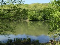 IMG_9654.JPG