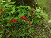 IMG_9656.JPG