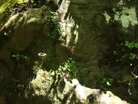 IMG_9662.JPG