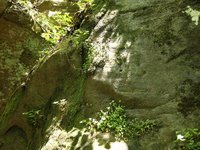 IMG_9663.JPG