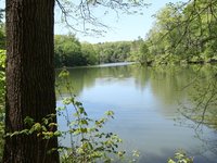 IMG_9665.JPG