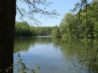 IMG_9666.JPG