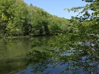 IMG_9667.JPG