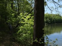 IMG_9669.JPG