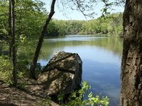 IMG_9672.JPG