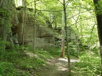 IMG_9679.JPG