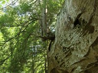 IMG_9685.JPG