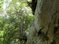 IMG_9688.JPG