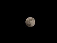 IMG_9336.JPG