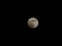 IMG_9337.JPG