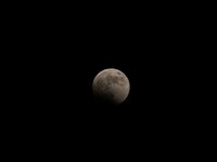 IMG_9338.JPG