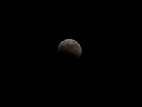 IMG_9346.JPG