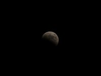 IMG_9348.JPG