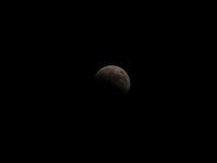 IMG_9349.JPG
