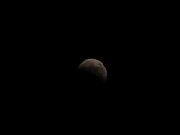 IMG_9350.JPG