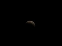 IMG_9354.JPG
