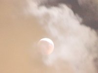 IMG_9359.JPG