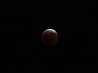IMG_9366.JPG