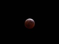 IMG_9370.JPG