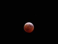 IMG_9372.JPG