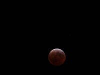 IMG_9377.JPG