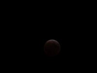 IMG_9378.JPG