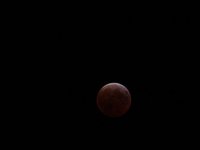 IMG_9379.JPG