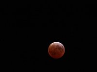IMG_9380.JPG