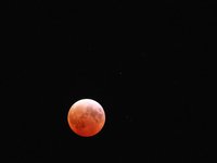 IMG_9381.JPG