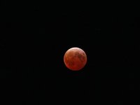 IMG_9401.JPG