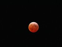 IMG_9407.JPG