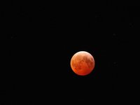IMG_9413.JPG