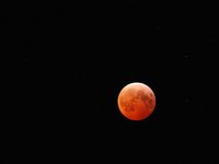 IMG_9415.JPG