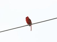 IMG_9612.JPG