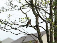 IMG_9624.JPG