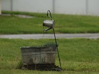 IMG_9635.JPG