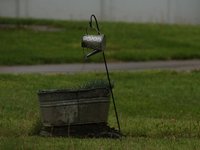 IMG_9659.JPG