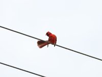 IMG_9684.JPG