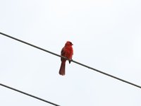 IMG_9687.JPG