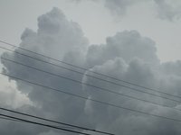 IMG_9717.JPG