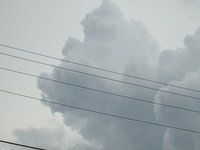 IMG_9719.JPG