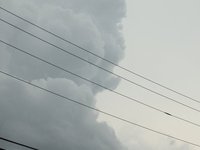 IMG_9721.JPG