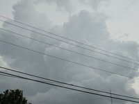 IMG_9723.JPG