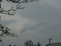 IMG_9728.JPG