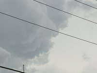 IMG_9729.JPG